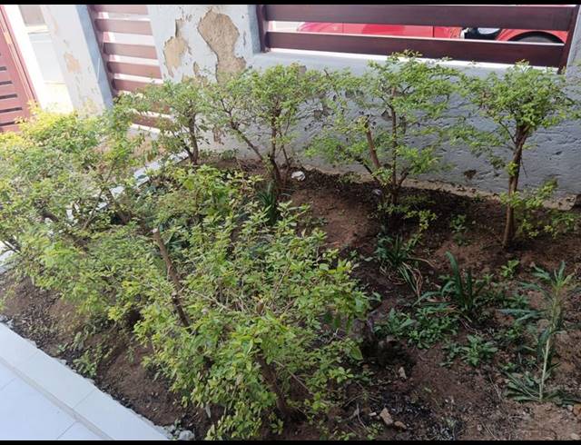 3 BEDROOM HOUSE FOR SALE IN ORLANDO WEST